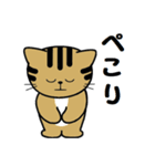 トンちゃんってこんな猫（個別スタンプ：24）