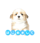 タフだぜタフィーくん（個別スタンプ：1）
