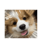 タフだぜタフィーくん（個別スタンプ：6）