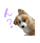 タフだぜタフィーくん（個別スタンプ：9）