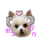 レオくんのstamp（個別スタンプ：4）