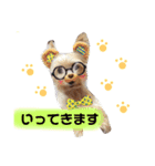レオくんのstamp（個別スタンプ：5）