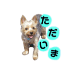 レオくんのstamp（個別スタンプ：7）