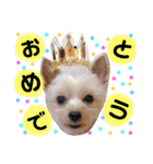レオくんのstamp（個別スタンプ：9）
