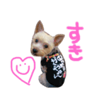 レオくんのstamp（個別スタンプ：17）