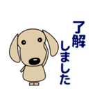 敬語 大人の優しい気づかい ダックスフンド（個別スタンプ：6）