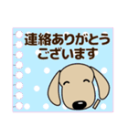 敬語 大人の優しい気づかい ダックスフンド（個別スタンプ：17）