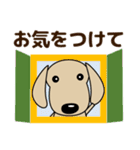 敬語 大人の優しい気づかい ダックスフンド（個別スタンプ：25）