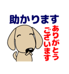 敬語 大人の優しい気づかい ダックスフンド（個別スタンプ：32）