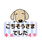 敬語 大人の優しい気づかい ダックスフンド（個別スタンプ：35）