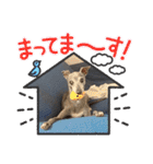 DIOの日常（個別スタンプ：17）