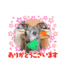 DIOの日常（個別スタンプ：20）