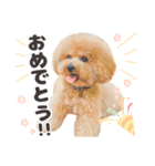 印刷屋社員のペットたち【犬と猫】（個別スタンプ：3）