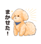 印刷屋社員のペットたち【犬と猫】（個別スタンプ：30）