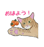 チャトラねこと柿（個別スタンプ：1）