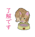 チャトラねこと柿（個別スタンプ：8）