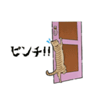 チャトラねこと柿（個別スタンプ：13）