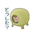 チャトラねこと柿（個別スタンプ：14）