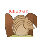 チャトラねこと柿（個別スタンプ：16）