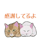 チャトラねこと柿（個別スタンプ：25）