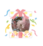 好きな景色でメッセージ！（個別スタンプ：9）