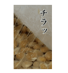 納豆の実写スタンプ【BIC】（個別スタンプ：4）