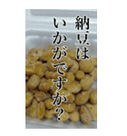 納豆の実写スタンプ【BIC】（個別スタンプ：31）