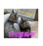 むぎたんゆきたん3（個別スタンプ：2）