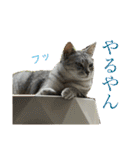 むぎたんゆきたん3（個別スタンプ：5）