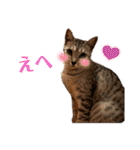 むぎたんゆきたん3（個別スタンプ：7）