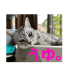 むぎたんゆきたん3（個別スタンプ：8）