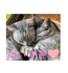 むぎたんゆきたん3（個別スタンプ：11）