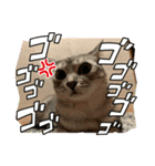 むぎたんゆきたん3（個別スタンプ：15）