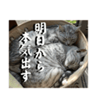 むぎたんゆきたん3（個別スタンプ：22）