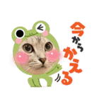 むぎたんゆきたん3（個別スタンプ：26）