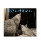 むぎたんゆきたん3（個別スタンプ：27）