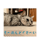 むぎたんゆきたん3（個別スタンプ：28）