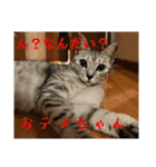 むぎたんゆきたん3（個別スタンプ：29）