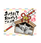 むぎたんゆきたん3（個別スタンプ：31）