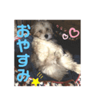 むったスタンプ①（個別スタンプ：6）