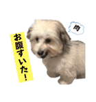 むったスタンプ①（個別スタンプ：13）
