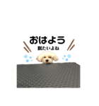 えまちゃんの日常③（個別スタンプ：3）