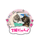 レオ・トラ・ジャックのスタンプ（個別スタンプ：6）