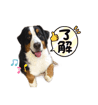 RURUの日常スタンプ（個別スタンプ：2）