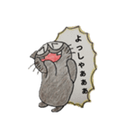 きじとらちゃとら（個別スタンプ：7）