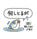 富山県の魚「きときとブリくん」スタンプ（個別スタンプ：25）