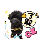もずくちゃん①（個別スタンプ：1）