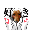こむぎのゆるゆるライフ（個別スタンプ：3）