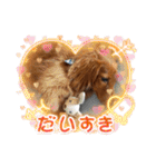 こむぎのゆるゆるライフ（個別スタンプ：6）