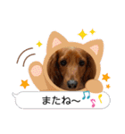 こむぎのゆるゆるライフ（個別スタンプ：7）